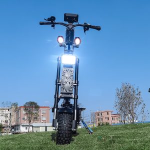 Scooter-Electric-Adult